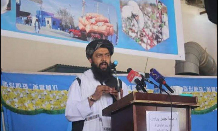 The Increase of Polygamy Among the Commanders of the Taliban Group