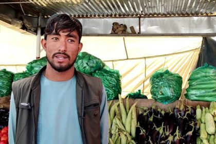 The Farmers of Helmand Province Complain About the Lack of Agricultural Cold Storage and the Authorities' Inattention