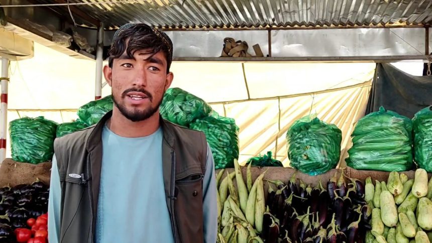 The Farmers of Helmand Province Complain About the Lack of Agricultural Cold Storage and the Authorities' Inattention