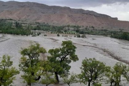 The Flood in Logar Destroyed About One Thousand Acres of Agricultural Lands
