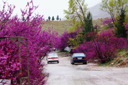 The Taliban Group Stole the Money and Mobile Phones of a Shopkeeper in Parwan Province