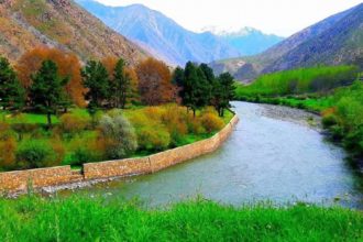 The Arrest of the Director of Agriculture of the Taliban Group in Takhar Province on Charges of Violation