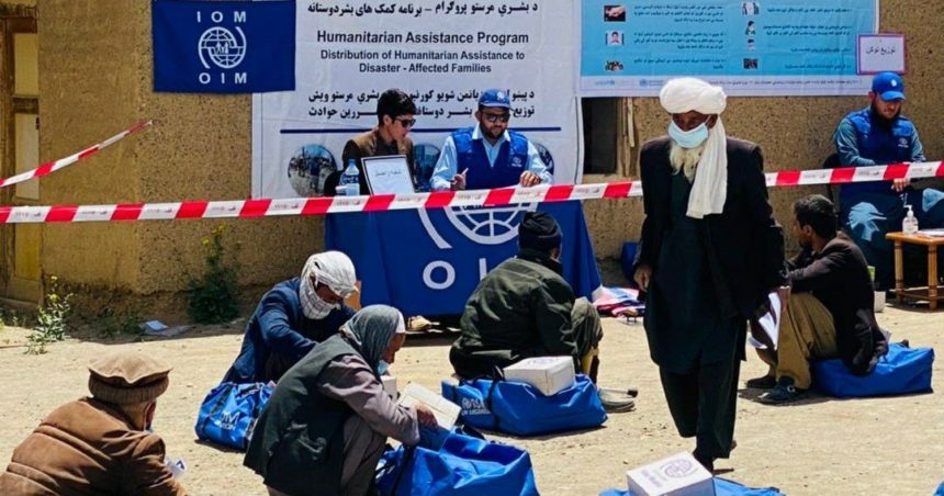 The International Organization for Migration (IOM) in Kabul Started Working Again