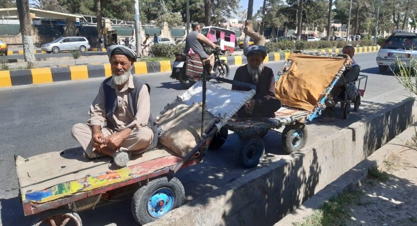 International Rescue Committee: The Number of Needy People in Afghanistan Has Increased by 60 Percent
