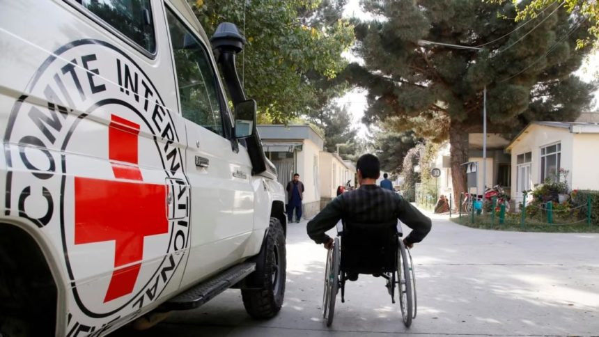 Red Crescent Committee: 55% of Afghanistani People Need Humanitarian Aid