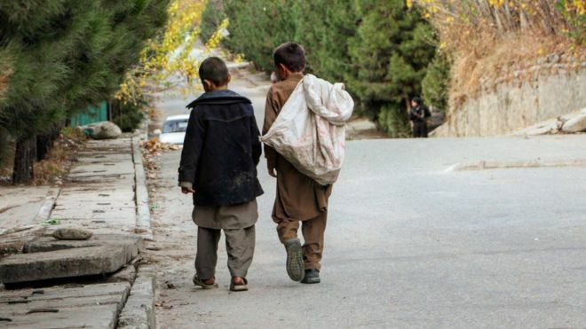 The Re-control of the Taliban Group Over the Country Has Forced a Large Number of Children to Work
