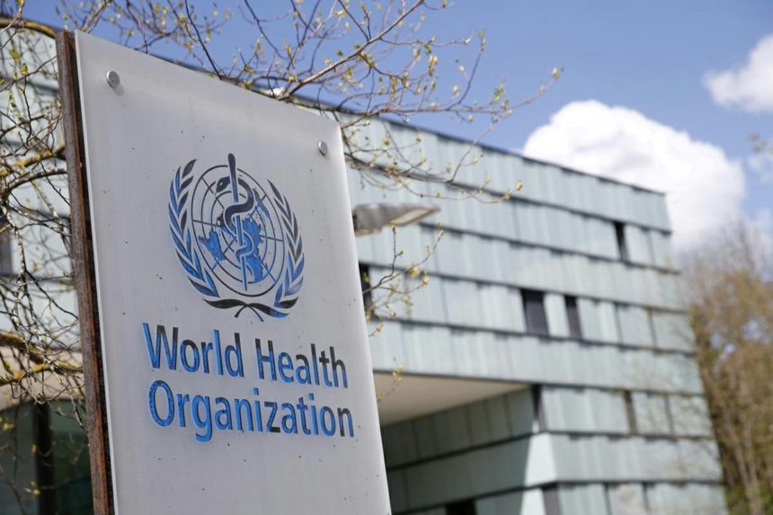 The World Health Organization Warned of the Lack of Funds in Afghanistan's Health Sector