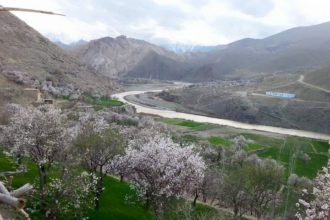 Beating a Resident of Daikandi Province by the Kochis