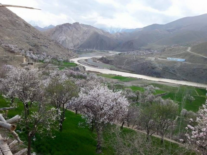 Beating a Resident of Daikandi Province by the Kochis