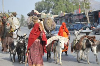 The Governor of Sar-e-Pol Called for the Construction of a Town and the Provision of Education for the Kochis