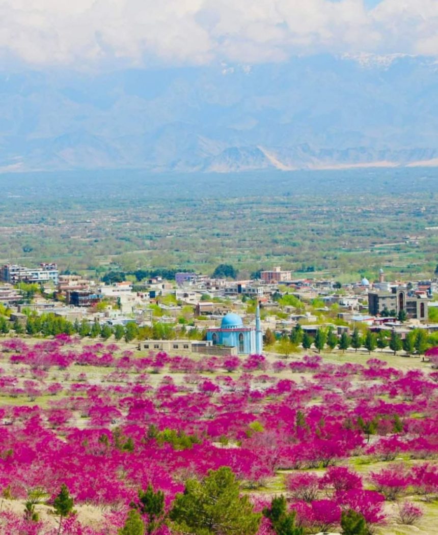 A Young Girl Committed Suicide in Parwan Province