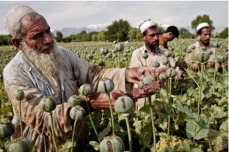 United Nations: Afghanistan is the Fastest Producing Methamphetamine Country in the World