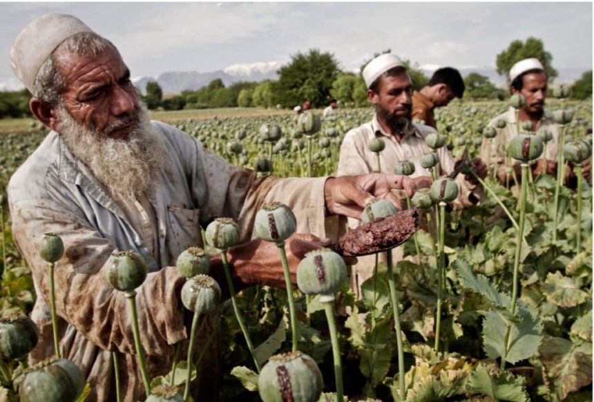 United Nations: Afghanistan is the Fastest Producing Methamphetamine Country in the World