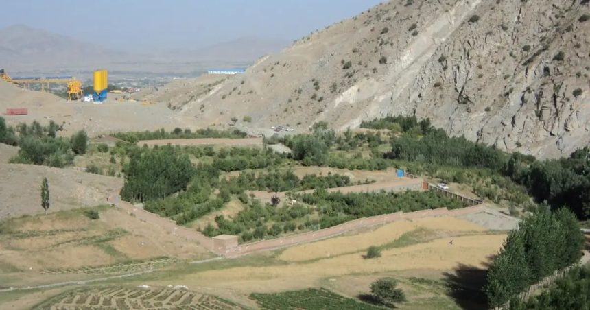 Afghanistan National Mobilization Front: Six Members of the Taliban Group Were Killed in Shakar Dara District of Kabul