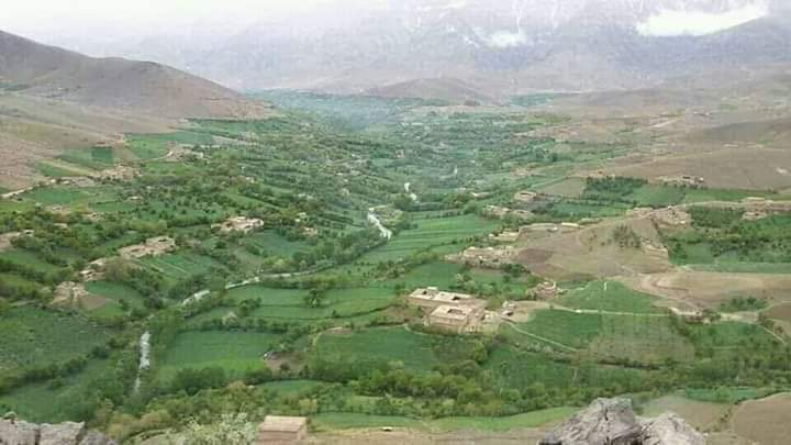 Domestic Violence Claims the life of a Woman in Daikundi