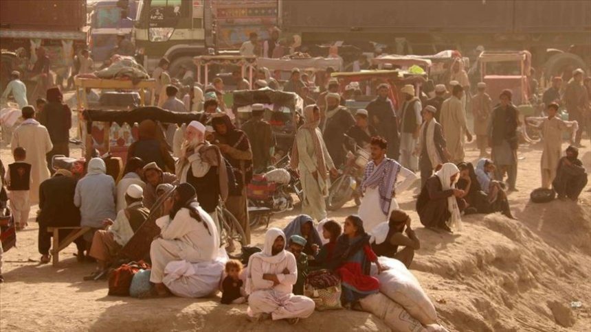 EU expresses concern regarding the plight of vulnerable Afghanistani refugees