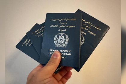 Passport issuance process starts offline
