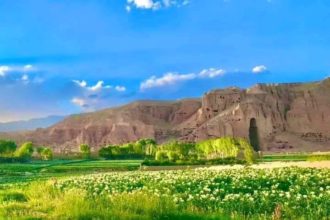 Suicide of a young boy in Bamyan province