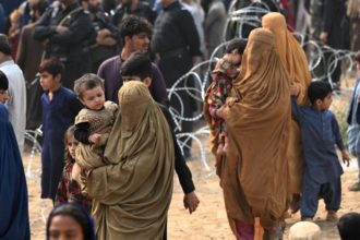 Three UN-affiliated organizations express concerns about expelling Afghanistani refugees from Pakistan