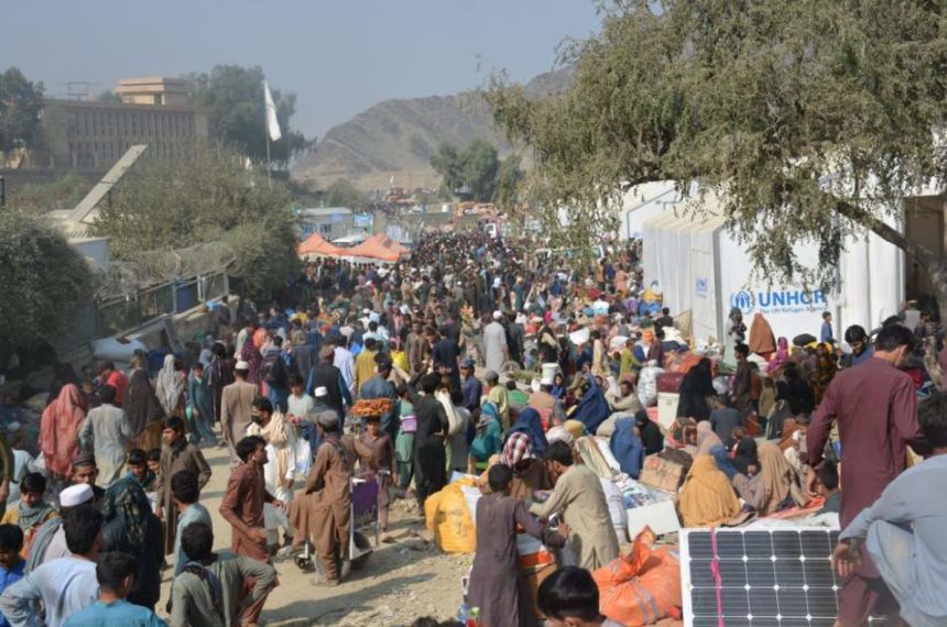 Over 56,000 Afghanistani refugees forcibly returned from Pakistan