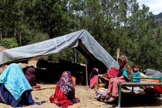 WHO expresses concern over the dire state of earthquake victims in Herat province