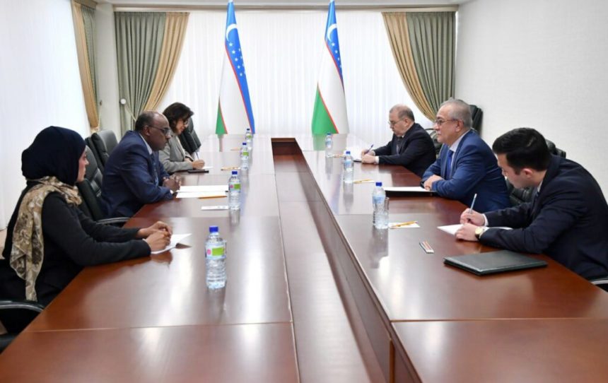 Representatives of Uzbekistan and the Organization of Islamic Cooperation Discuss Afghanistan