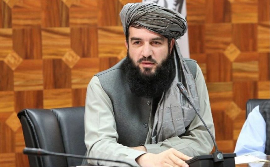 Qalandar Ebad: The Number of Female Doctors Decreased in Afghanistan