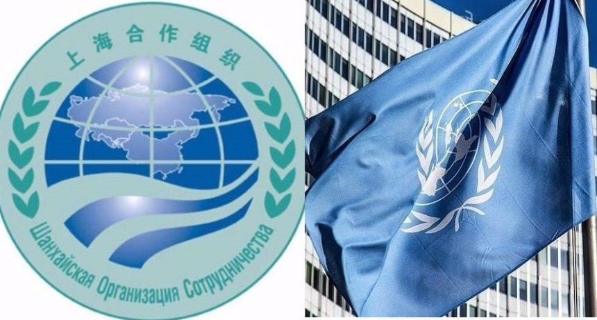 UN and Shanghai Cooperation Organization consult about Afghanistan
