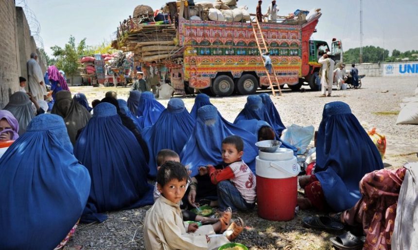 WHO: More than 92,000 Expelled Afghanistani Asylum Seekers Received Health Services