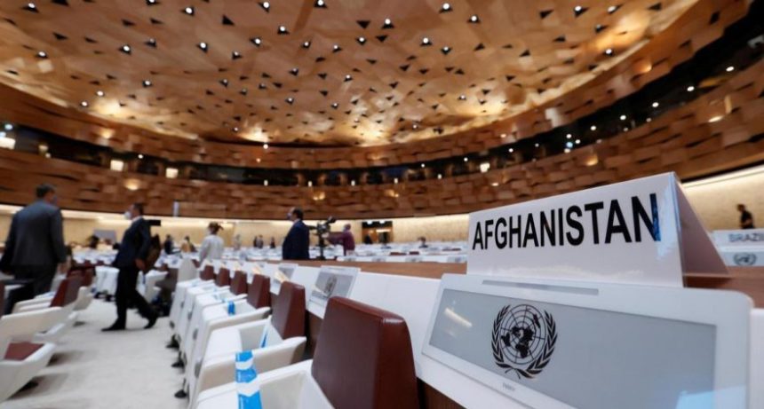 The UN Did Not Hand Over Afghanistan's Seat in this Organization to the Taliban