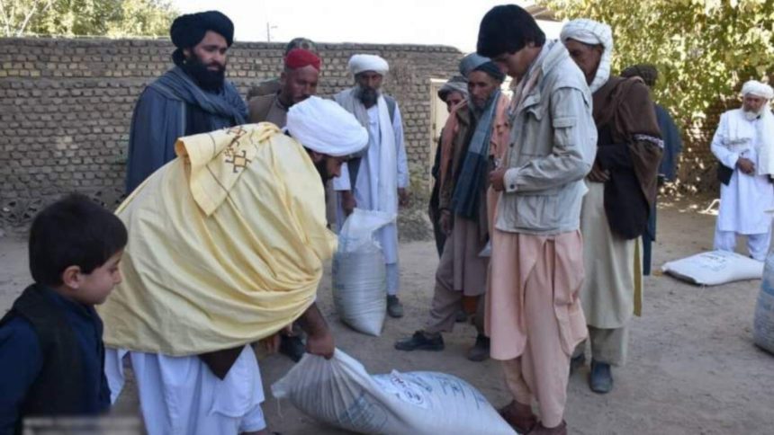 More than 2,000 Farmers Received Organic Seeds and Chemical Fertilizer in Badghis