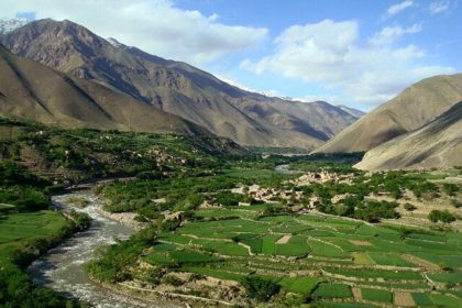 The Taliban's Felling of Trees in Panjshir Province