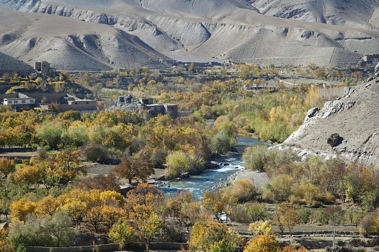 A Man was Killed in Parwan Province