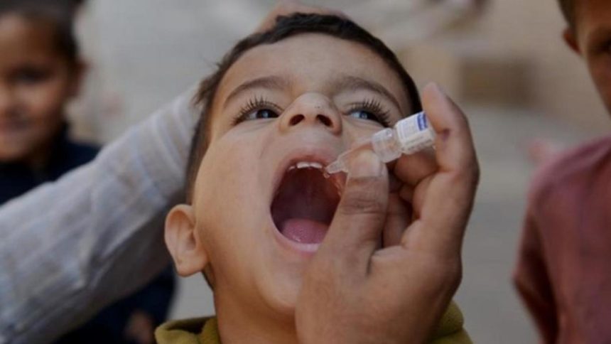 Nationwide launch of four polio vaccination programs planned