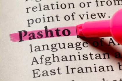 When did Afghani or Pashto become the official language in Afghanistan?