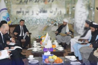 The Minister of Mines and Petroleum of the Taliban meets with the Ambassador of Turkmenistan