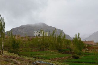 The Taliban arrests two teenage girls in Malistan district of Ghazni