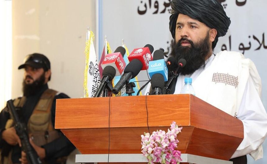 Nadeem: Taliban Unconditionally Support Scholars in Implementing Sharia Law