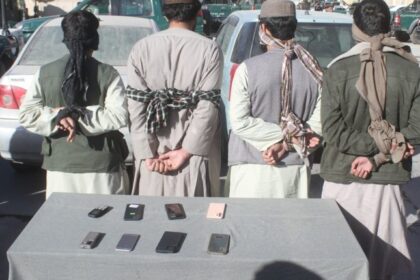 Taliban Detains Four Armed Robbers in Herat Province