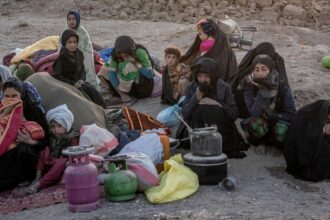 United Nations Urges Urgent Support for Women Affected by Herat Earthquakes