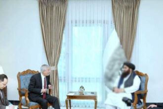 Muttaqi Urges Uzbekistan's Ambassador to Expedite Visa Issuance for Afghanistan Traders