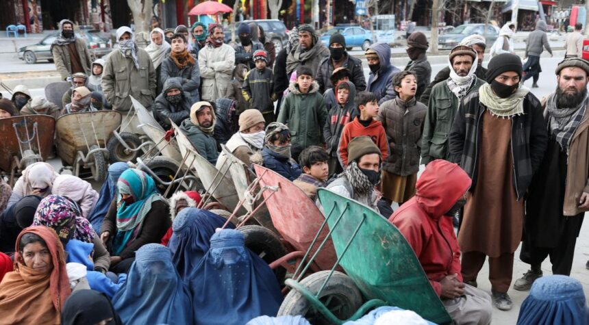 OCHA Announces Swiss Aid Exceeding One Million Dollars to Afghanistan