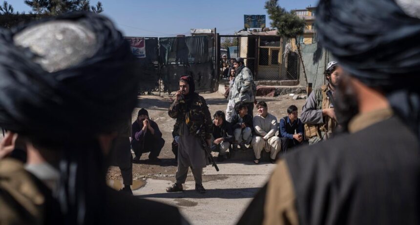 Taliban militants flogged an individual in Paktika province