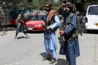 American Peace Institute: The Taliban Have Less Reason to Surrender to Western Demands